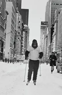 New York Eccentric