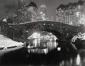 5th Avenue Prints: New York Pond in Winter