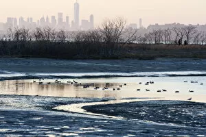 Images Dated 28th February 2016: New York skyline with waterfowl in Late winter