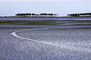 New Zealand, South Island, Golden Bay, mud flats at low tide