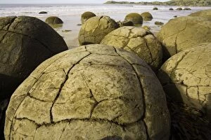 South Island Gallery: New Zealand, South Island, Otago, Moeraki Boulders on beach