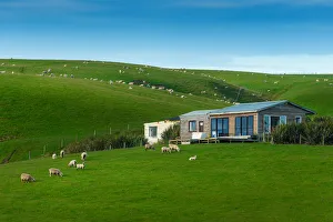 Images Dated 5th December 2012: New Zealand in summer season