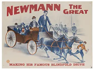 Gado Posters Prints: Newmann the Great