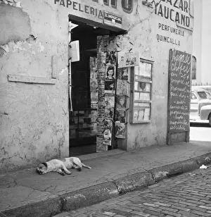 Magazine Prints: Newsagents