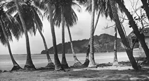 Nicaraguan Beach