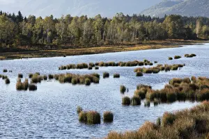 Bad Feilnbach Prints: Nicklheimer Moor, peat bogs between Raubling and Bad Feilnbach