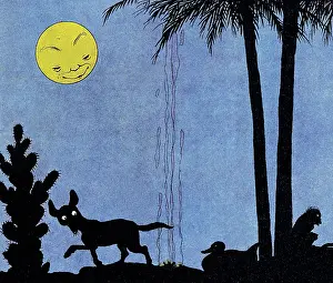 Palm Prints: Nighttime Brings out the Jackals