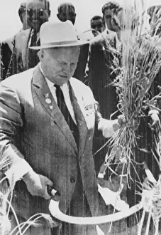 Sickle Prints: Nikita Khrushchev Sickling Wheat in Egypt