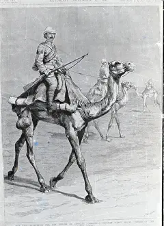 Missouri Prints: Nile Expedition