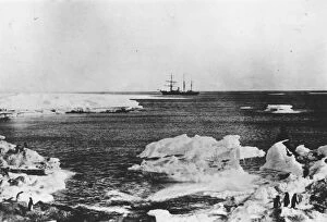 Sir Ernest Shackleton (1874-1922) Gallery: Nimrod In Antarctica
