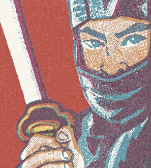 Ethnicity Gallery: Ninja Warrior