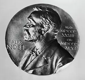 Prize Prints: The Nobel Peace Medal