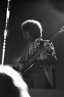 Noel Redding At The Monterey Pop Festival