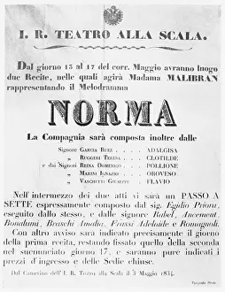 Librettist Prints: Norma Scala Poster