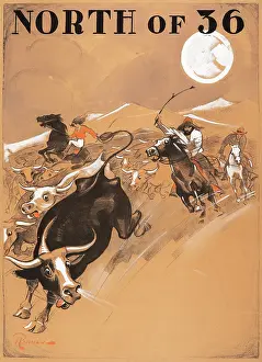 Bull Prints: North of 36