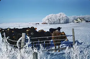 North Dakota scenery
