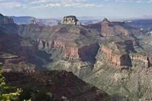 Images Dated 11th June 2011: North Rim, Grand Canyon National Park, Arizona, USA