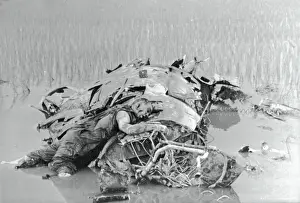 North Vietnam:Dead American Pilot On Wreckage 1967