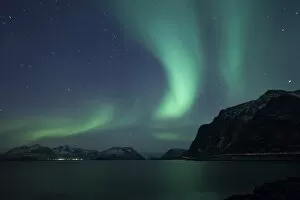 Images Dated 29th January 2012: Northern Lights, Aurora Borealis, in winter, Hovsund, Hov, Lofoten, Lofoten, Nordland, Norway