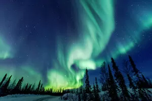 Images Dated 16th March 2013: Northern Lights close to Yellowknife in the Northw