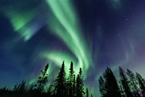 Aurora Borealis Collection: Northern Lights close to Yellownife