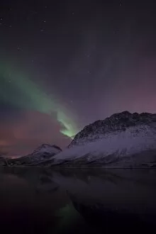 Images Dated 26th February 2012: Northern Lights over the Grotfjord in winter, Kvaloya, Tromso, Norway, Europe