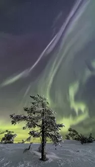 Aurora Borealis Collection: Northern lights Levi Sirkka KittilAÔé¼ Lapland Finland