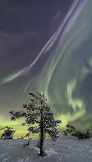 Frost Collection: Northern lights Levi Sirkka KittilAÔé¼ Lapland Finland