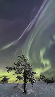 Woods Prints: Northern lights Levi Sirkka KittilAÔé¼ Lapland Finland