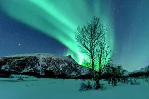Aurora Borealis Collection: Northern Lights over the Lofoten Islands in Norway