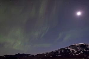 Images Dated 12th September 2014: Northern Lights and Full Moon over Mt Snaefell, Highlands of Iceland, Northeastern Region, Iceland