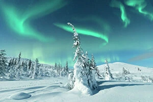 Northern Lights: A Dance of Colours Collection: Northern Lights on the snowy landscape, Lapland