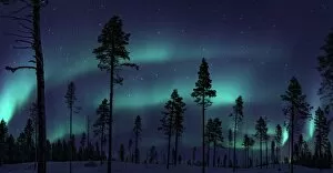 Images Dated 12th November 2012: Northern Lights in Sweden