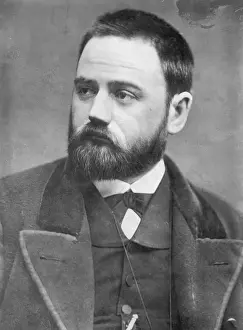 Novelist Emile Zola