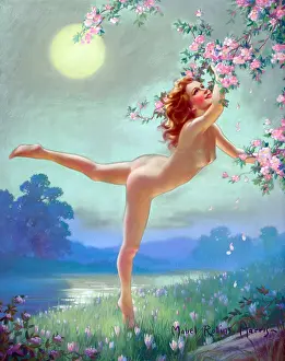 Nude Woman Picking Flowers