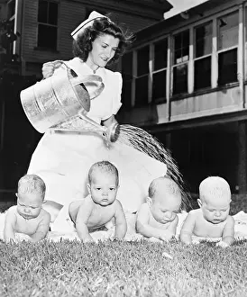 Nurturing Prints: Nurse Watering Quadruplet Babies