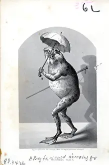Nursery Rhyme Prints: Nursery Rhyme, A Frog Would A Wooing Go