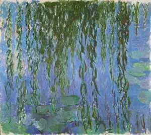 Monet Prints: Nymphéas Avec Rameaux De Saule