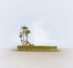 Desert Oasis Collection: Oasis in desert (Digital Composite)