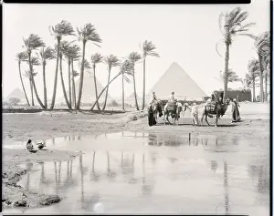 Traveler Prints: Oasis at Giza