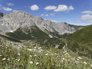 Karnten Prints: Obere Wolayer Alm mountain pasture with the Biegengebirge Mountains