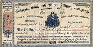 Octoroon Gold and Silver Mining Company Certificate