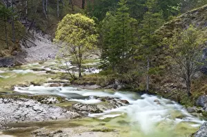 Lower Prints: Oetscherbach river, Lower Austria, Austria, Europe