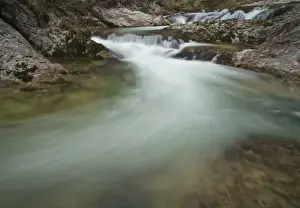Lower Prints: Oetscherbach river, Lower Austria, Austria, Europe