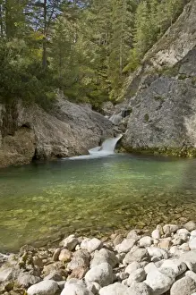 Lower Prints: Oetschergraben nature reserve, Mitterbach am Erlaufsee, Lower Austria, Austria, Europe