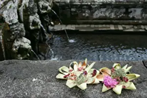 Religious Offering Prints: Offerings by the sacred pool