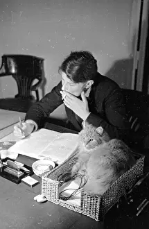 Role Prints: Office Cat