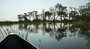 Delta Prints: The Okavango Delta