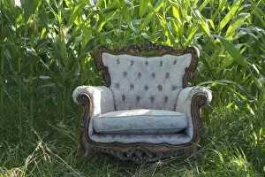 Images Dated 19th July 2014: Old armchair in front of a corn field
