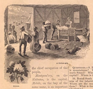 Old, Black and White Illustration of Cotton Gin, From 1800 s